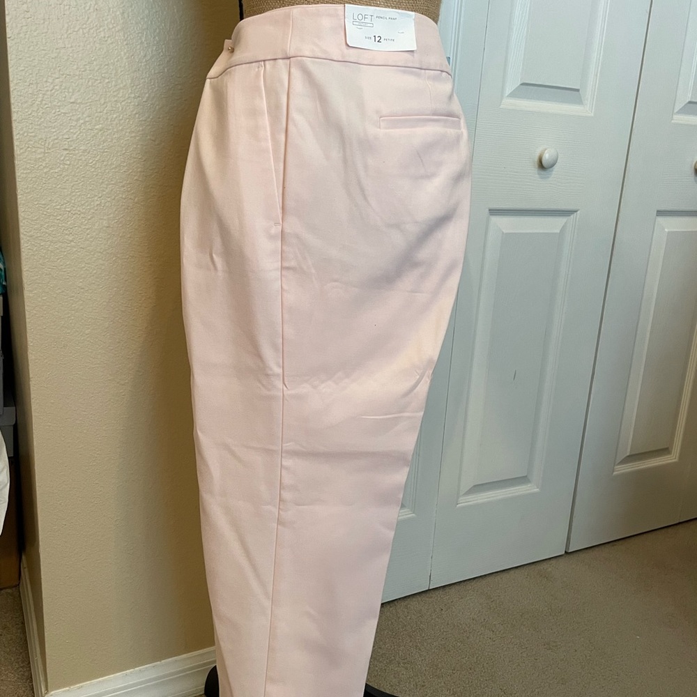 Loft pencil pant